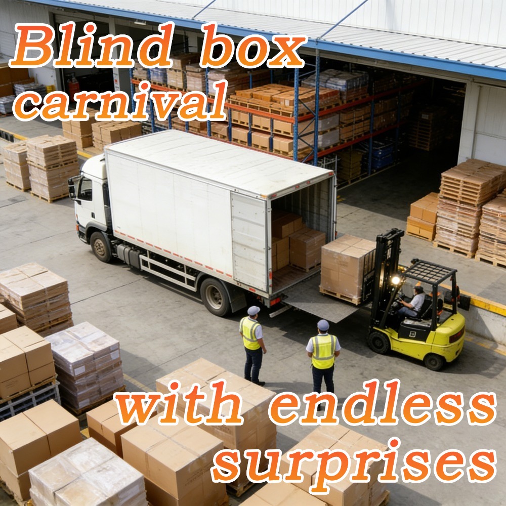 Random Mystery Gift Box, Surpr - Women Accessories Organizer 评论和价格